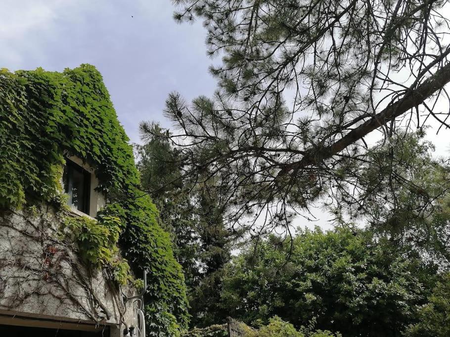 Gite Hautes Cotes De Nuits Curtil-Vergy Exteriör bild