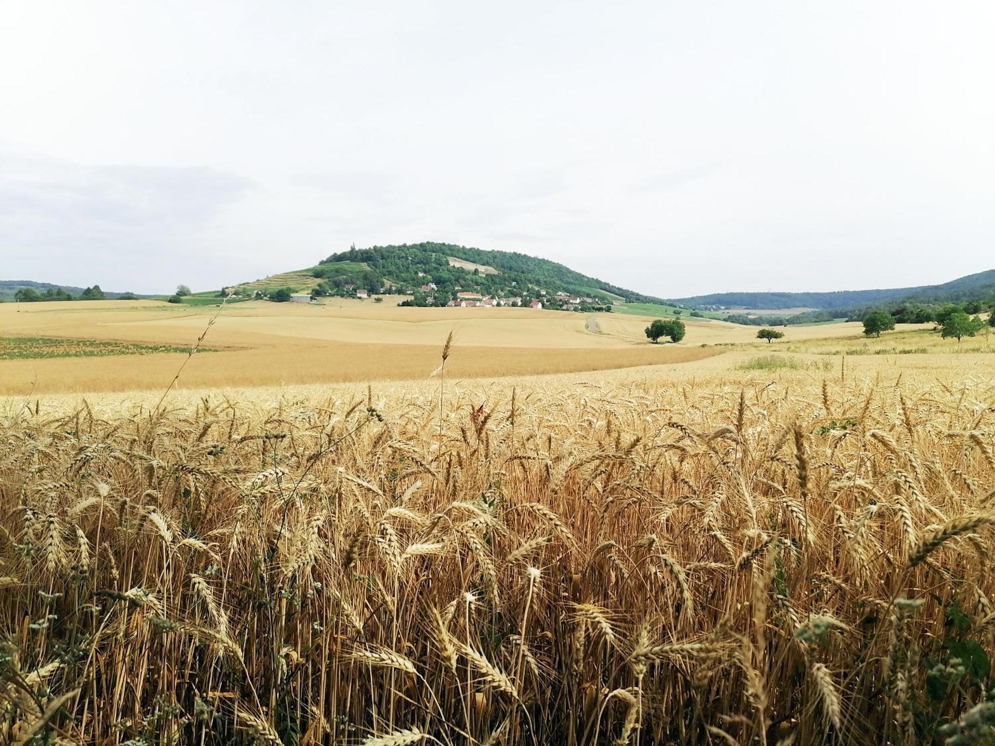 Gite Hautes Cotes De Nuits Curtil-Vergy Exteriör bild
